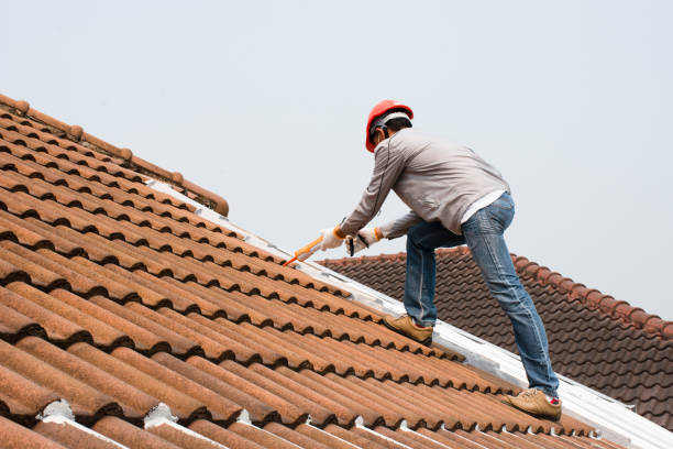 Best Roof Moss and Algae Removal  in Cayuga Heights, NY
